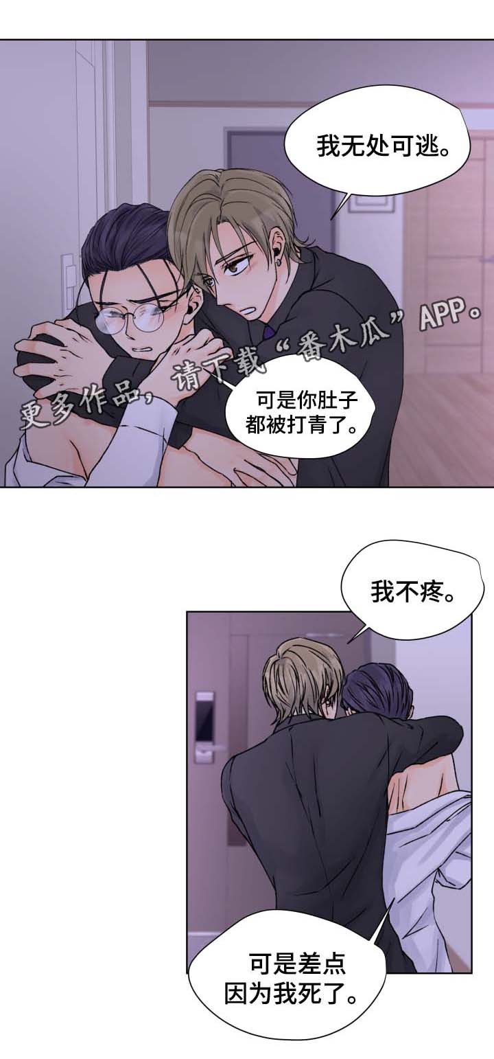 第34章：尘埃落定13