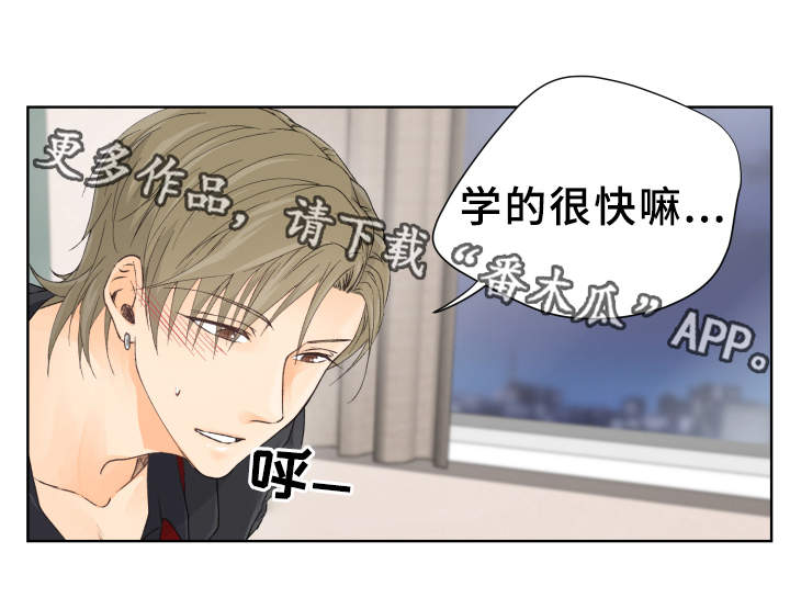 第6章：尝试13