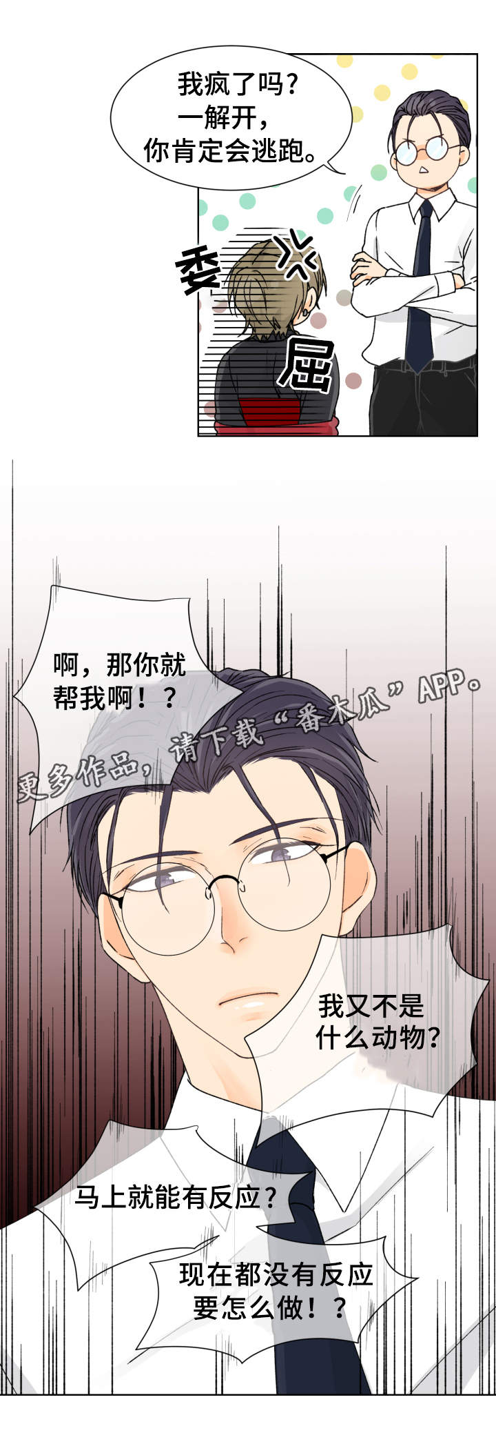 第6章：尝试5