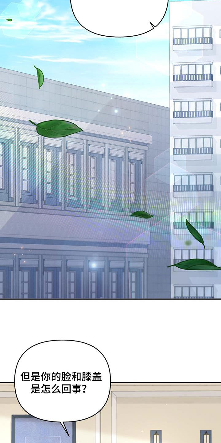 第31章：庆祝12