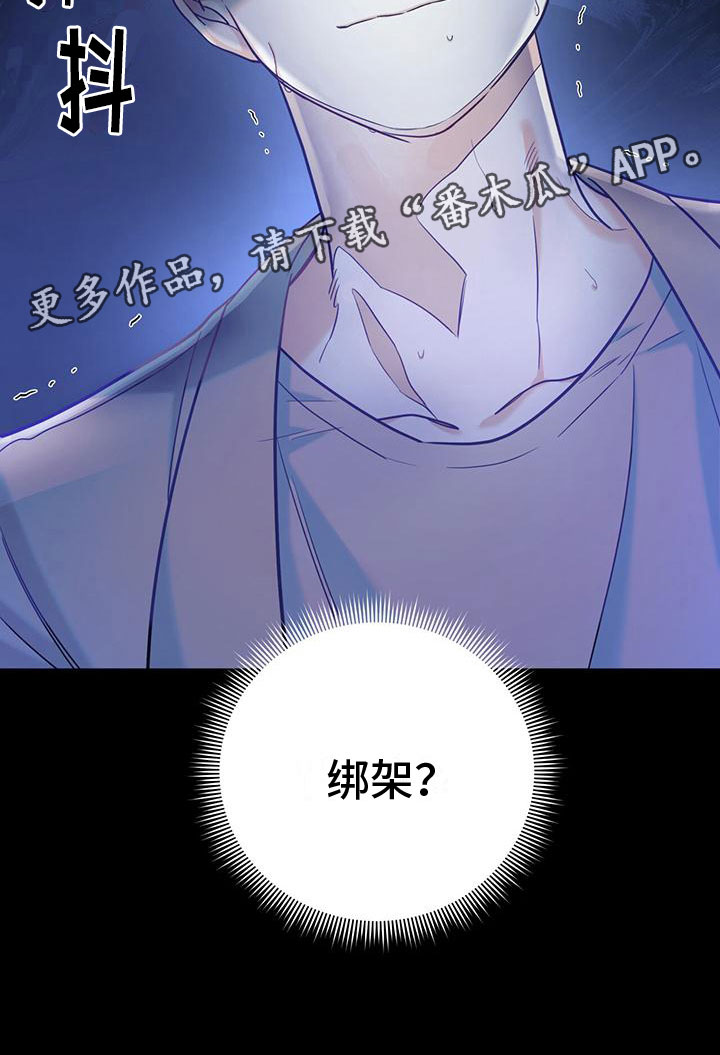 第17章：绑架25