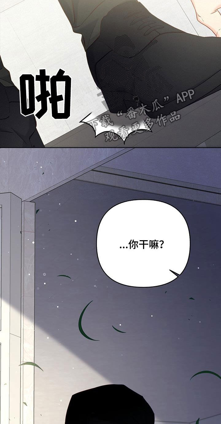 第25章：打招呼20