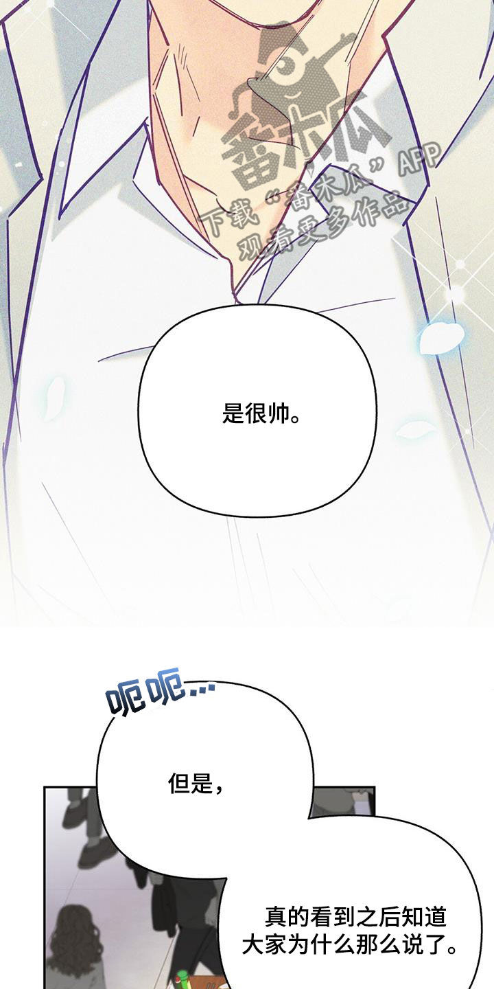 第39章：帅气温柔18