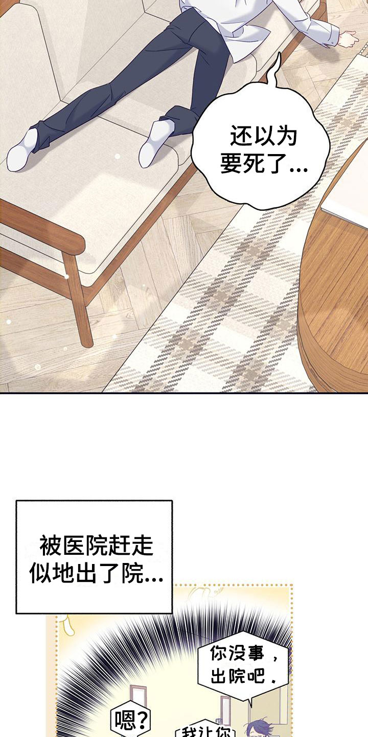 第2章：从天而降24