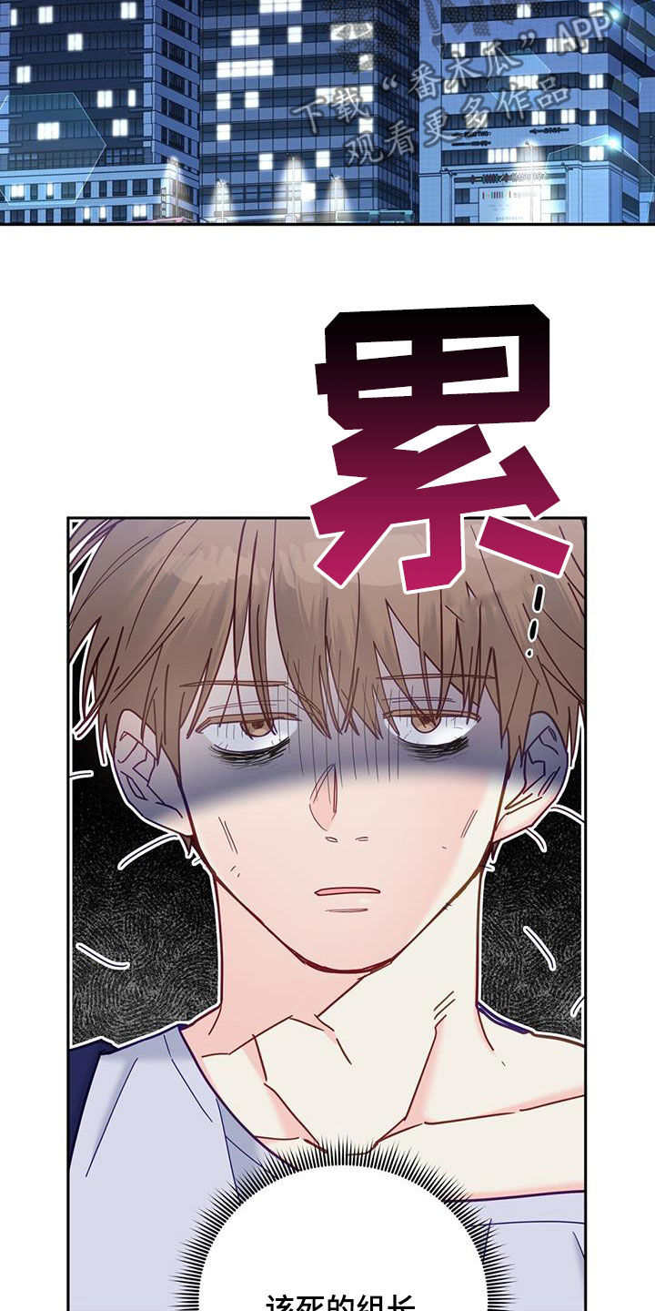 第41章：一起回家18