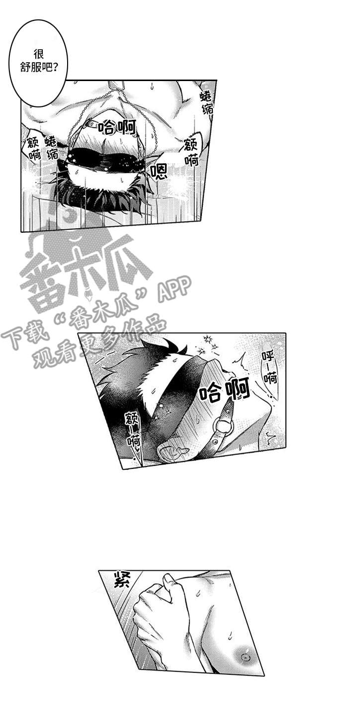第8章：惩罚8
