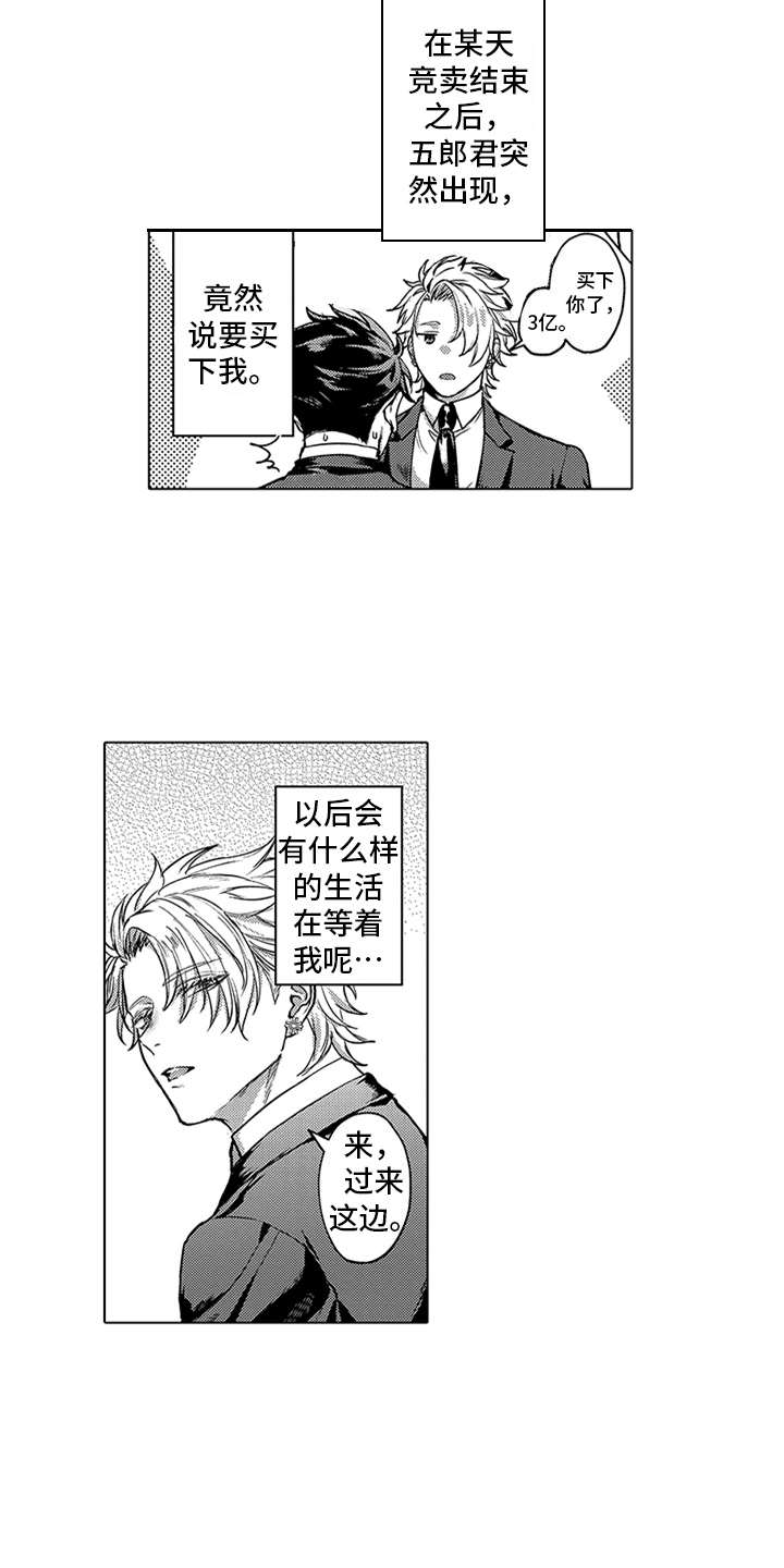 第4章：买下了11