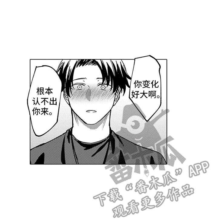 第17章：下决心16