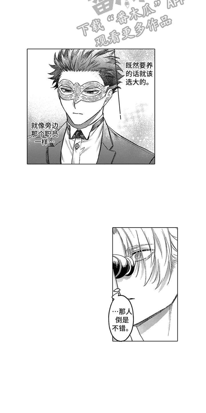 第11章：选中12