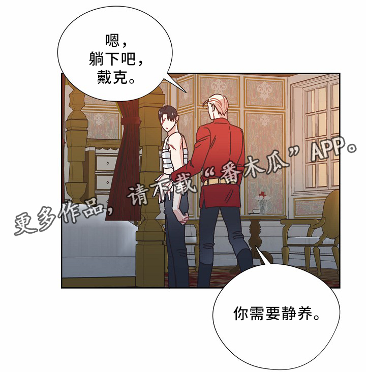 第36章：记忆11