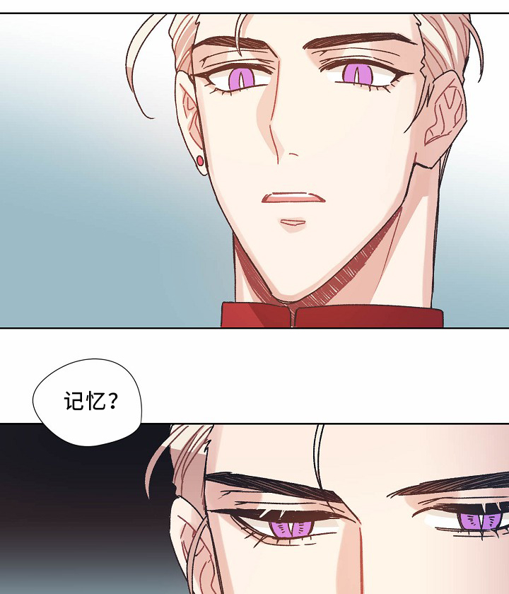 第36章：记忆8