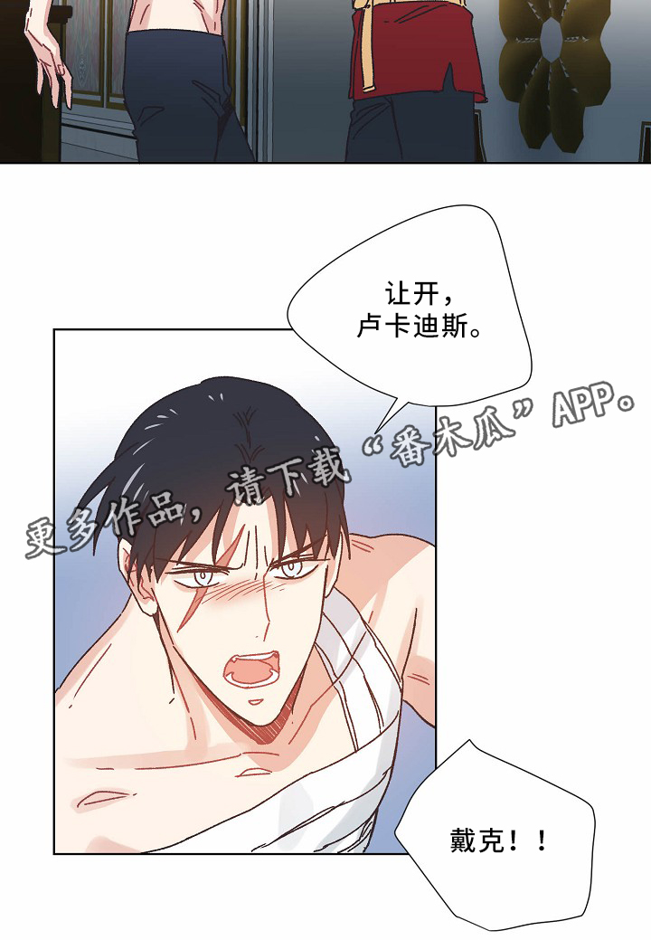 第36章：记忆5