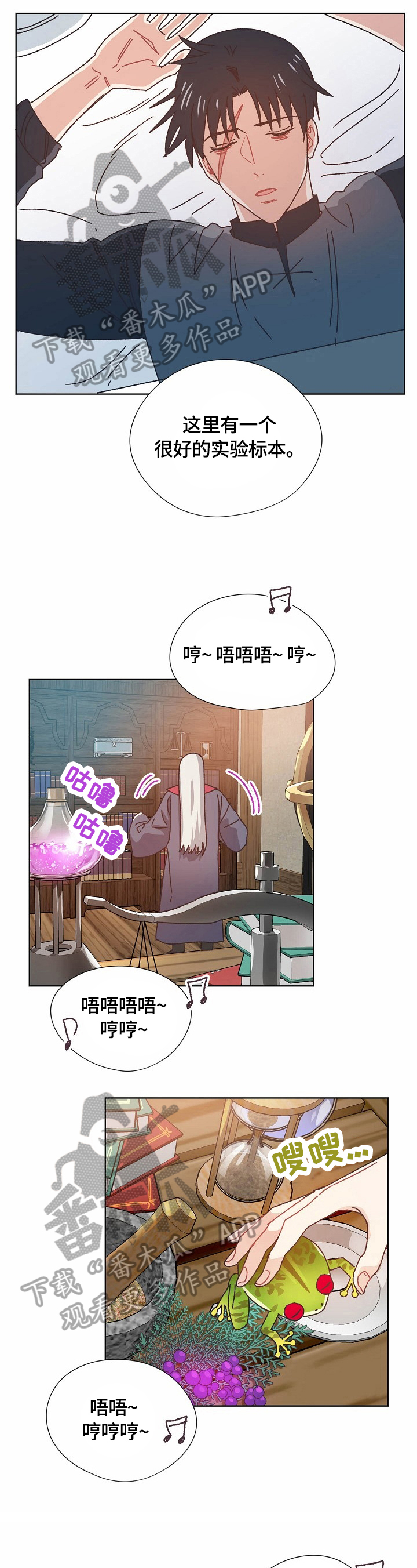 第61章：实验6