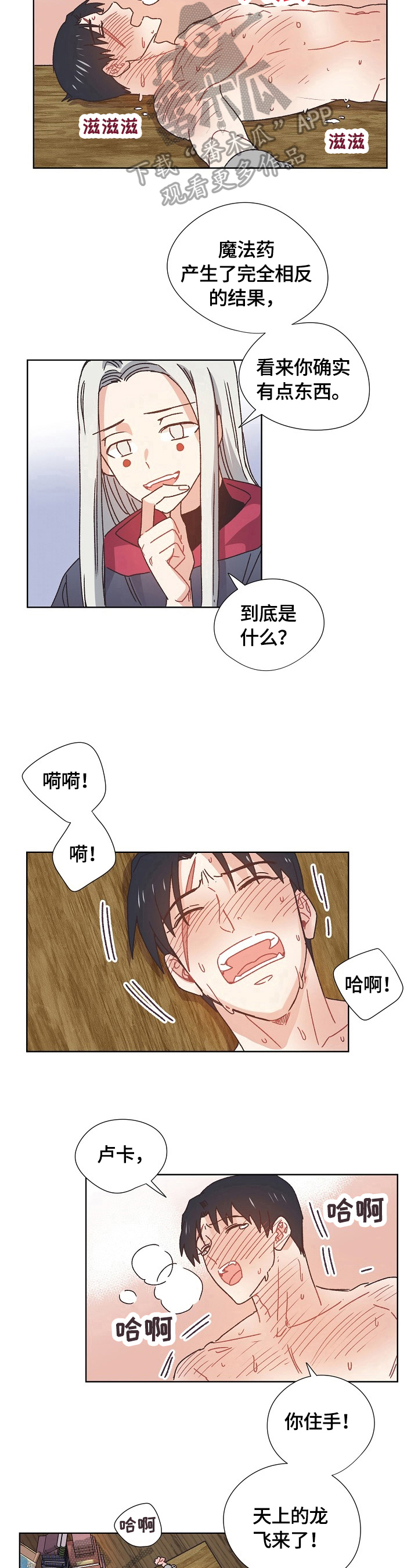 第62章：猜测5