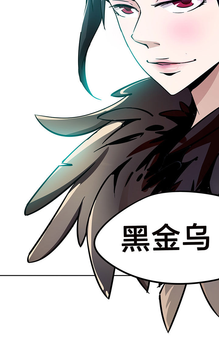 第213章：5