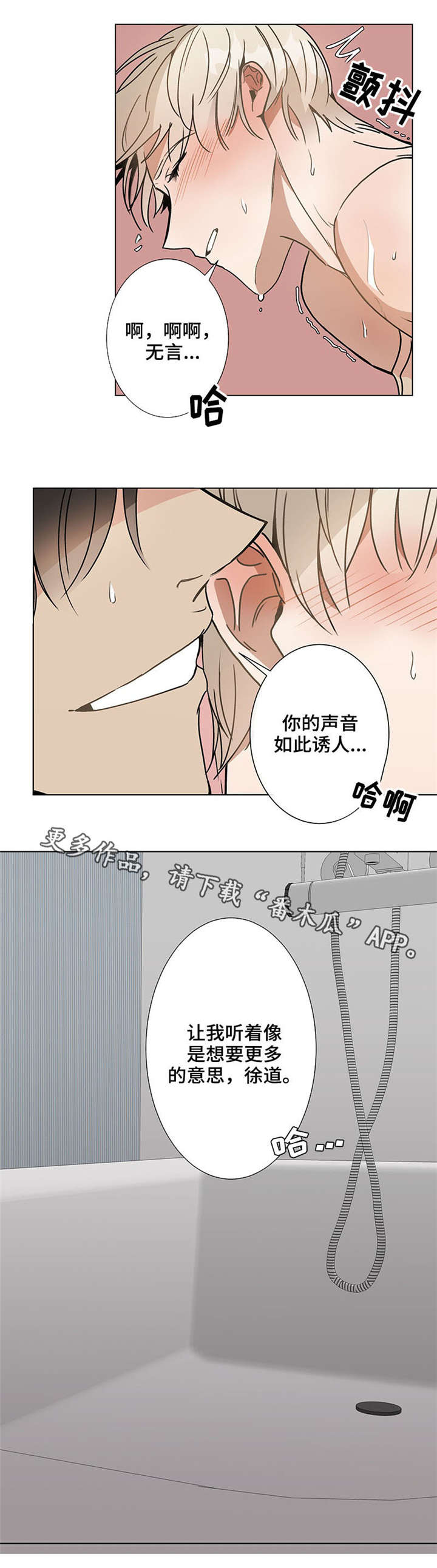 第37章：更多12