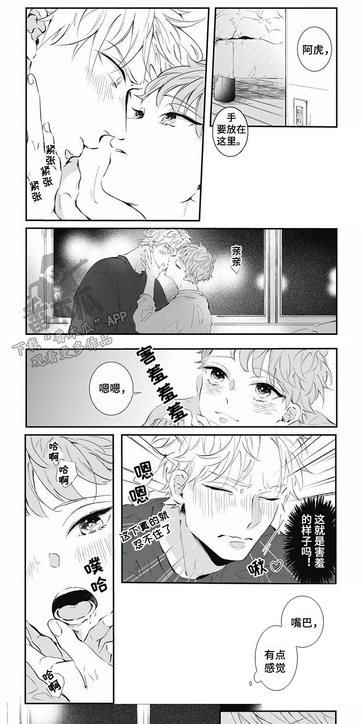 第6章：戏弄 0