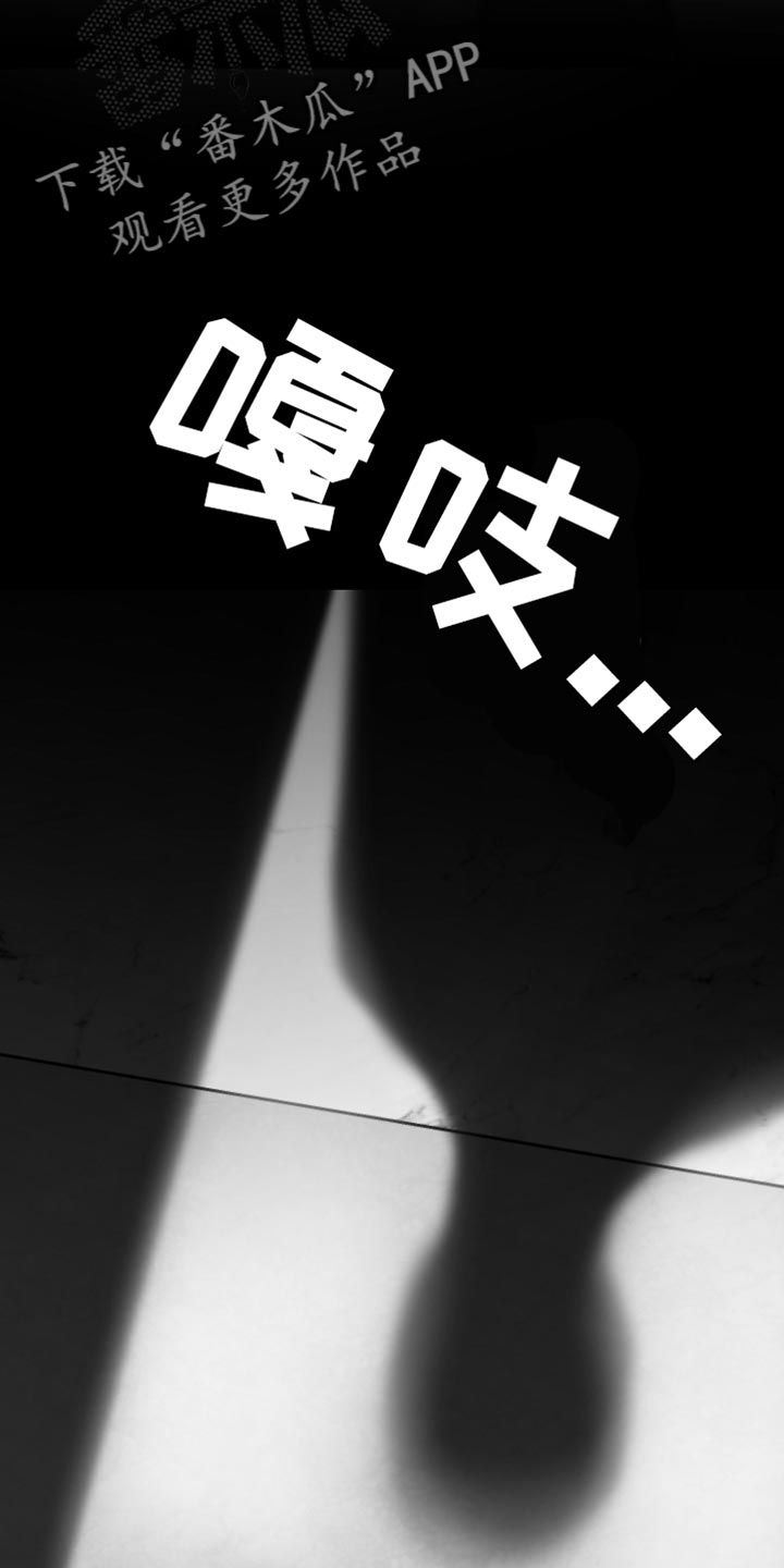 第26章：绝对不能被发现22