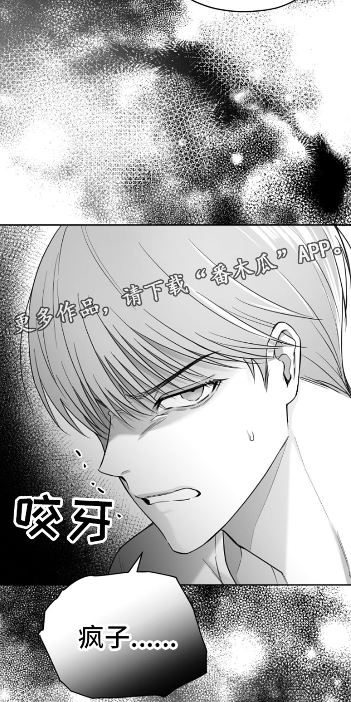 第4章：疯子28