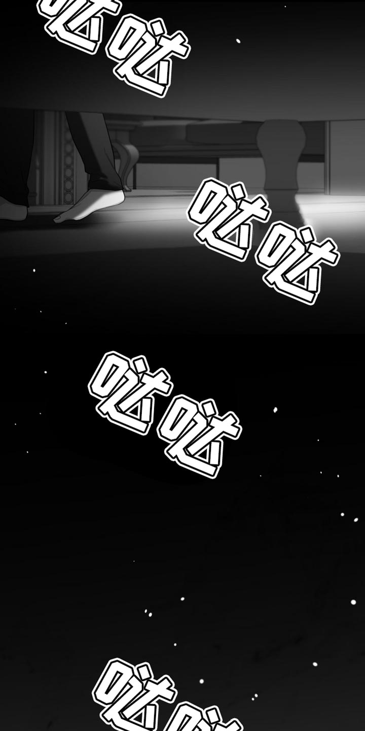 第26章：绝对不能被发现27