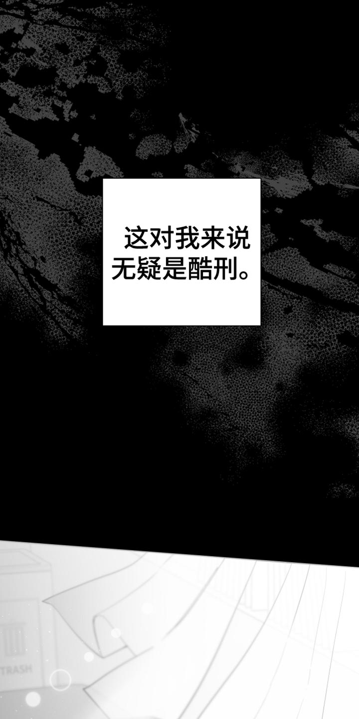 第14章：酷刑27