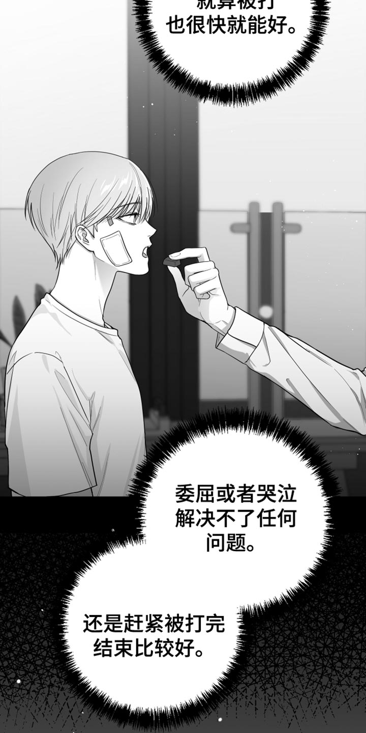 第20章：三个命令25