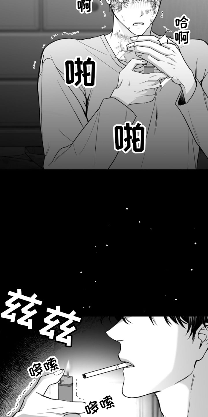第2章：暴力19