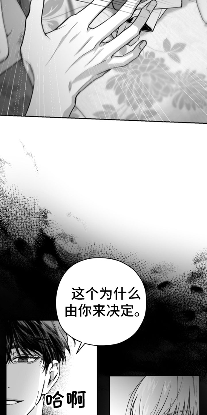 第2章：暴力13
