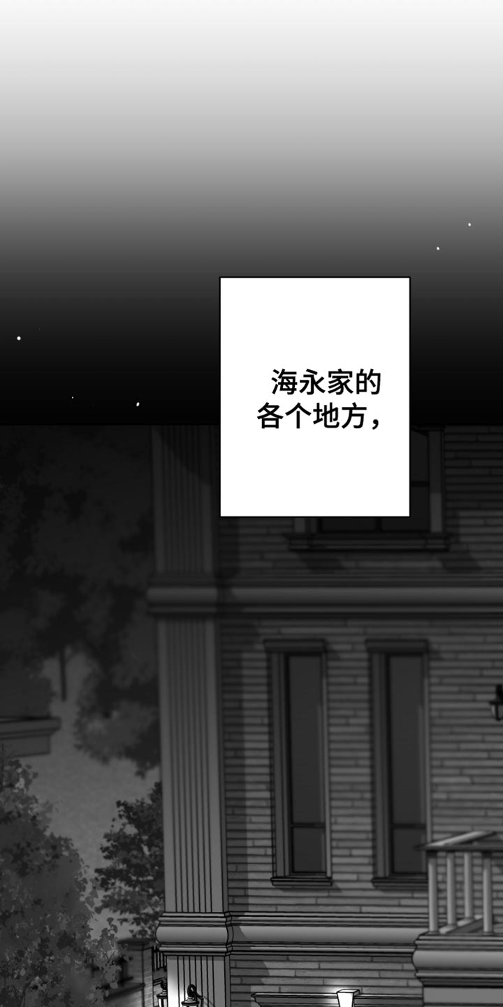 第26章：绝对不能被发现13