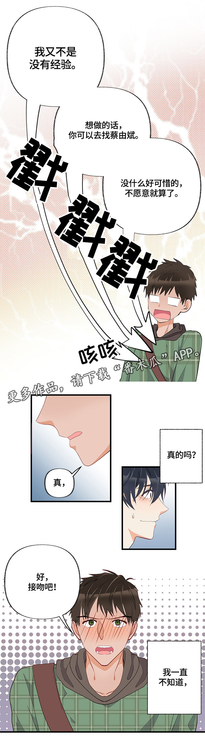 第10章：训练12