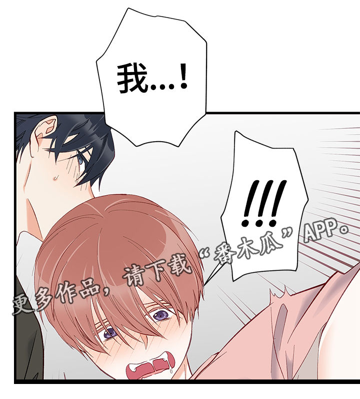 第12章：碰撞19