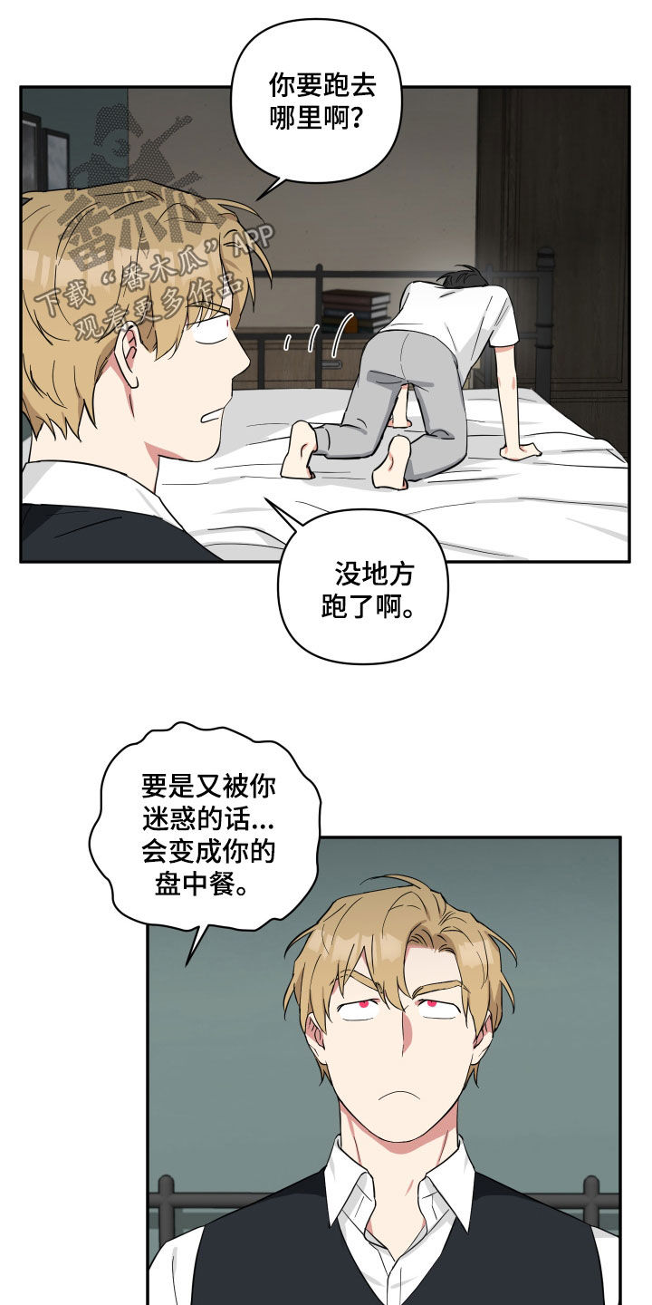 第47章：盘中餐15