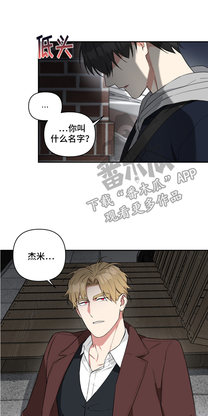 第6章：收留0