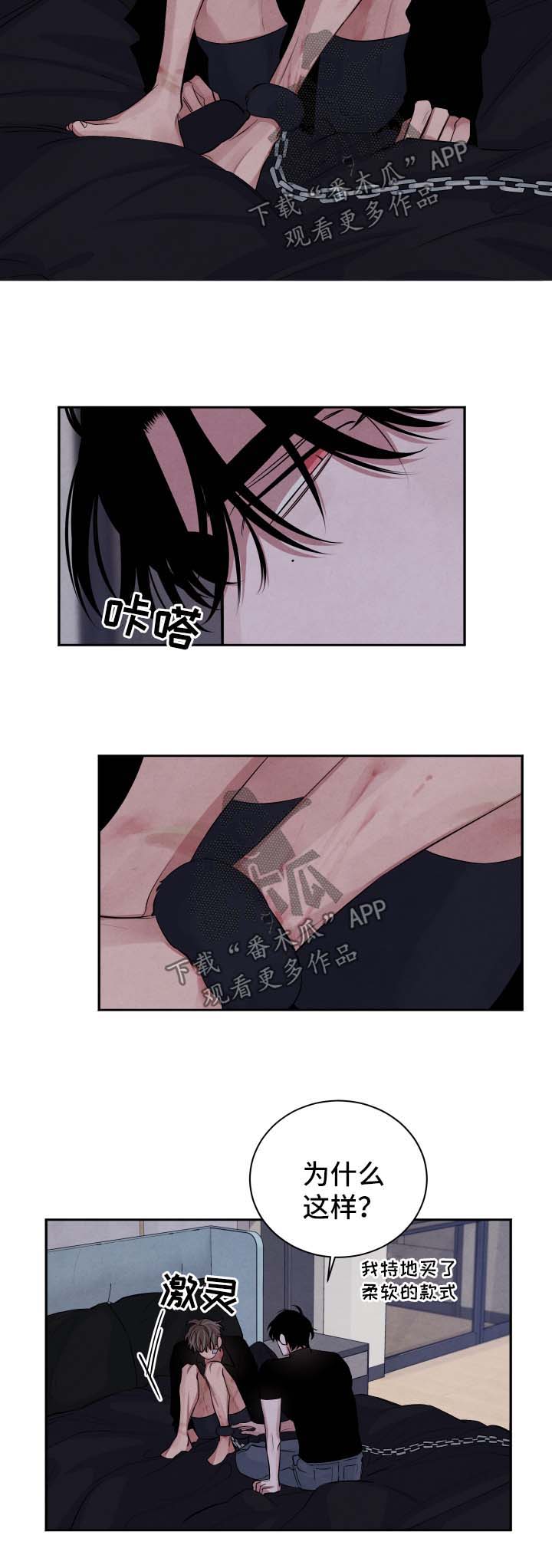 第81章：假设1