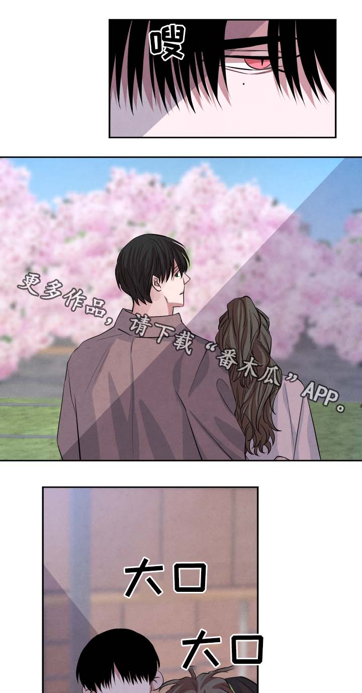 第39章：樱花11