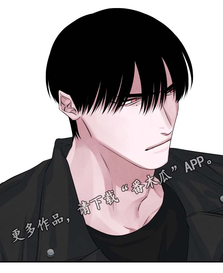 第39章：樱花13