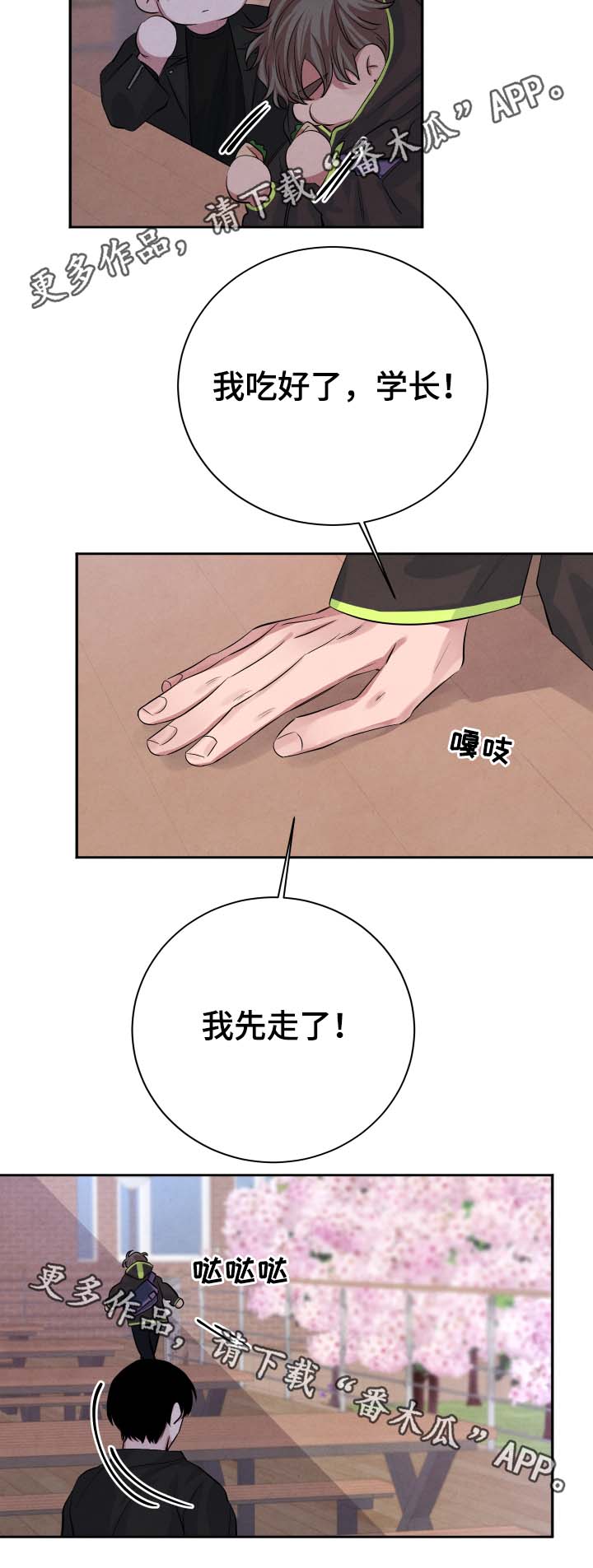 第39章：樱花12
