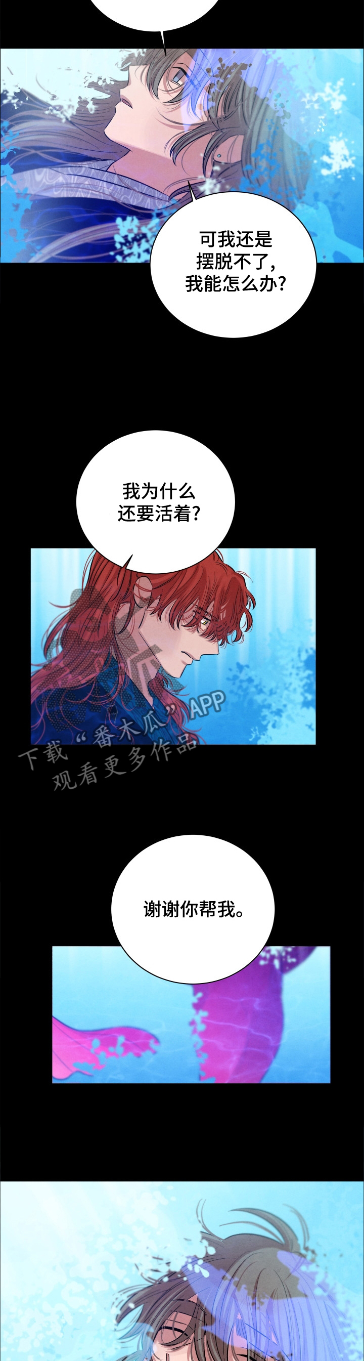 第108章：【番外】一切明了4