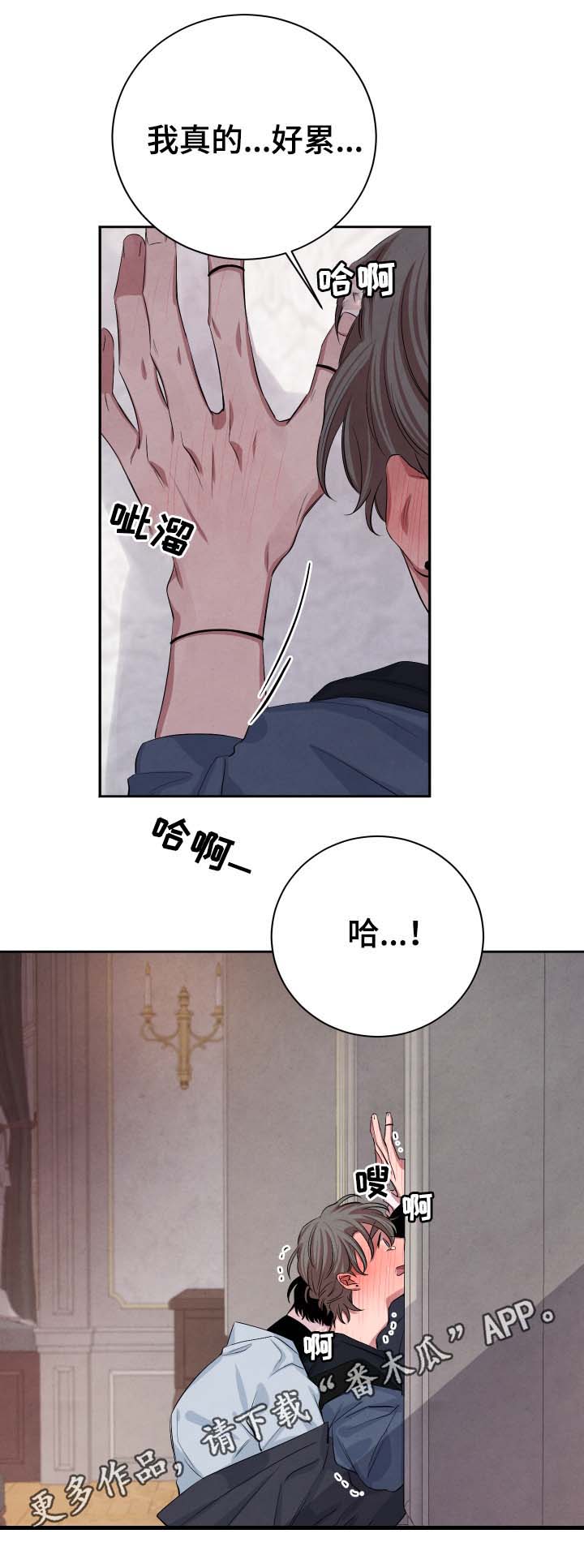 第37章：不怕受伤4