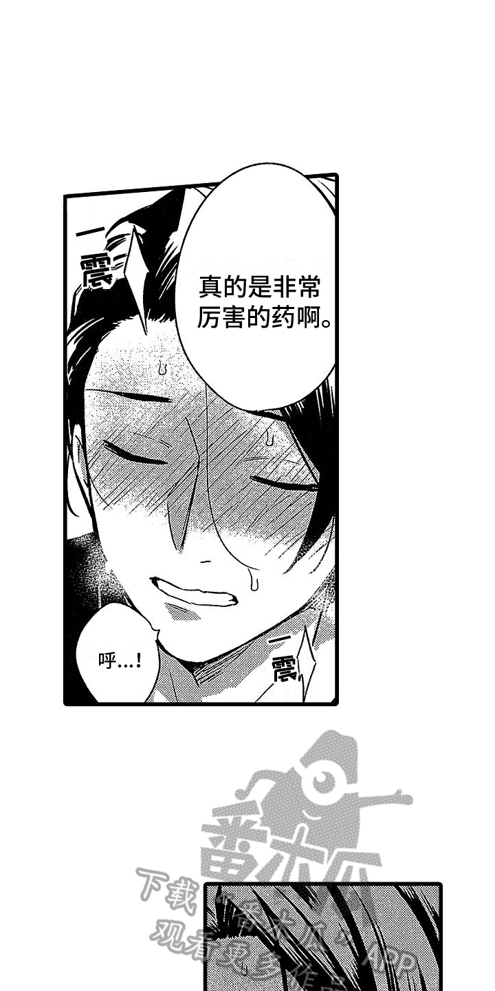 第16章：有效果10