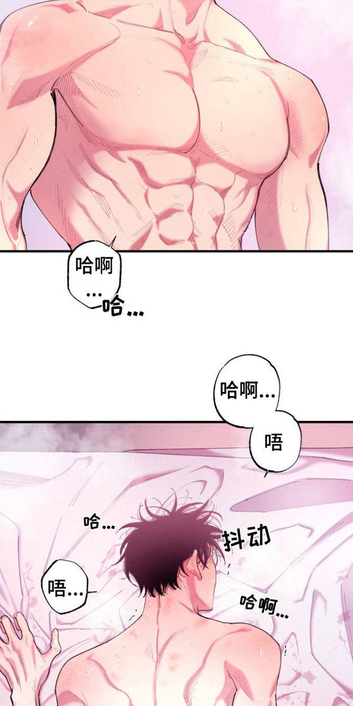 第11章：开心  15
