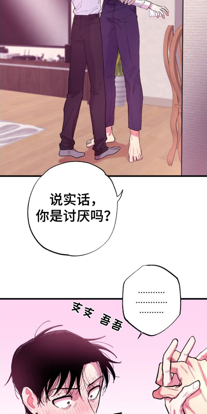 第7章：哄骗12