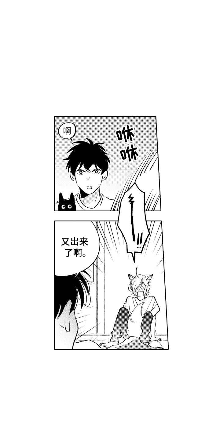 第12章：不可抗力14