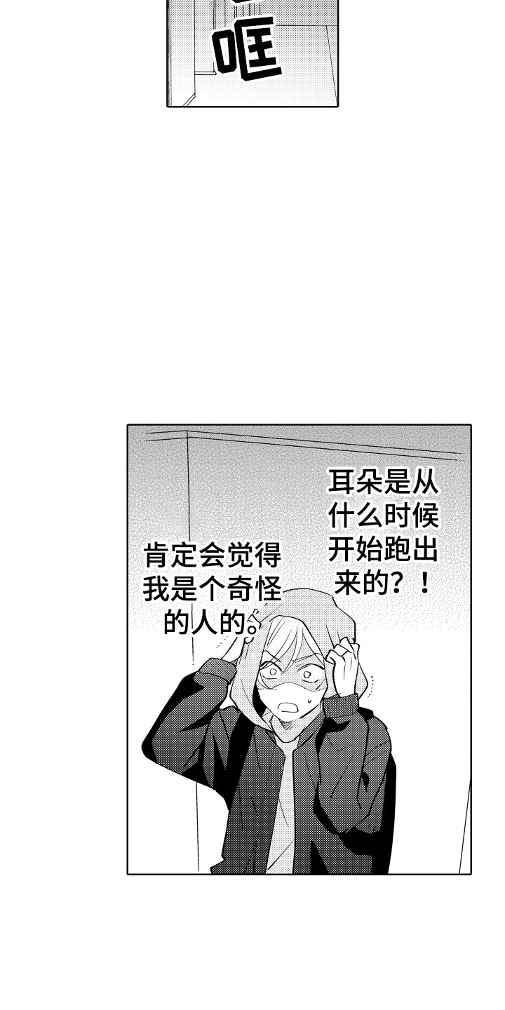 第2章：出事了11