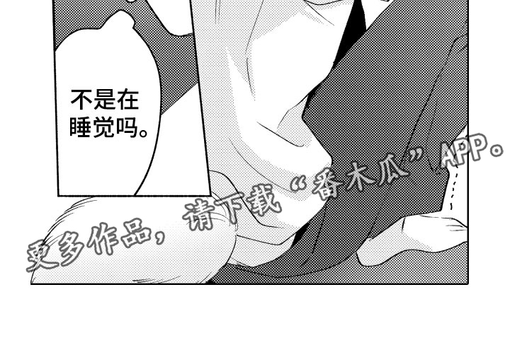 第10章：令人担心的17