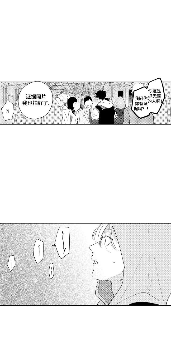 第1章：电车色狼12