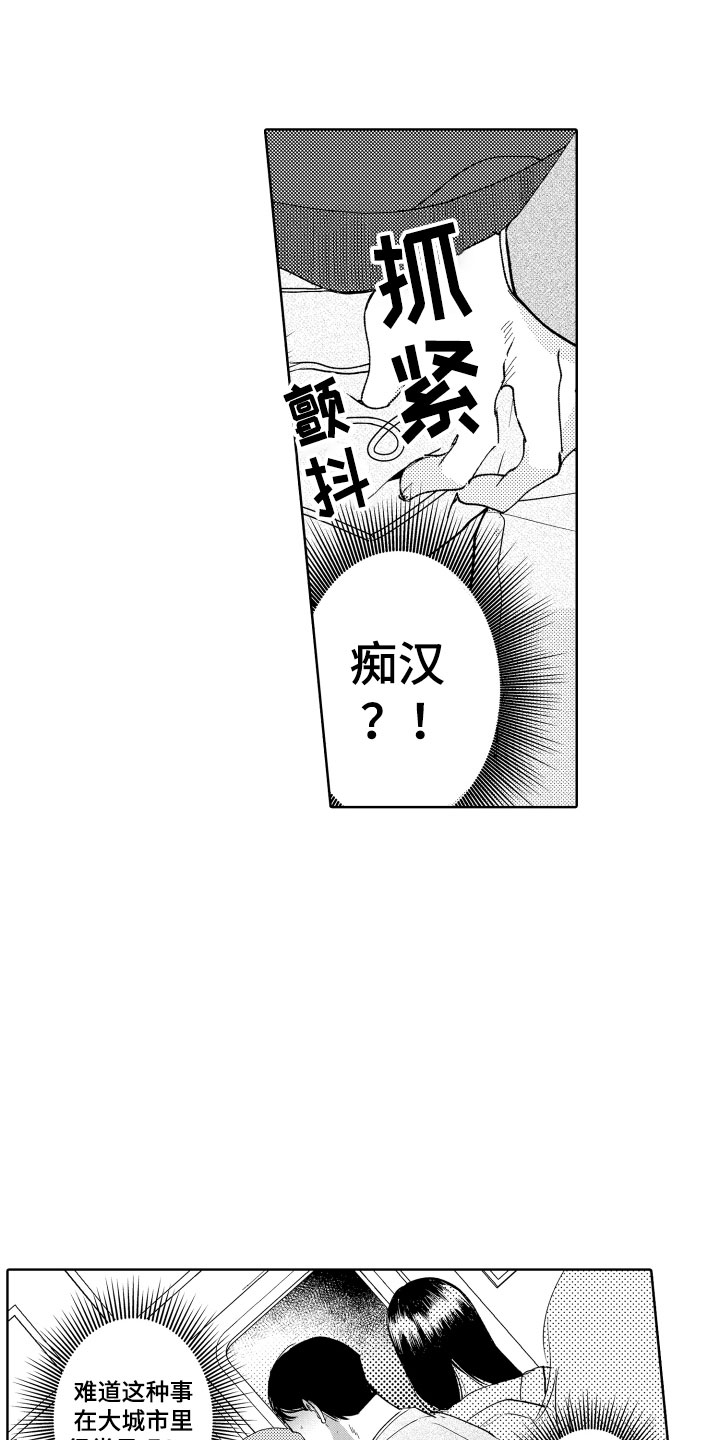 第1章：电车色狼8
