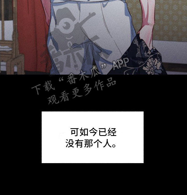 第13章：历历在目19