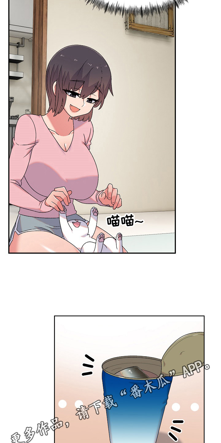 第19章：安定16