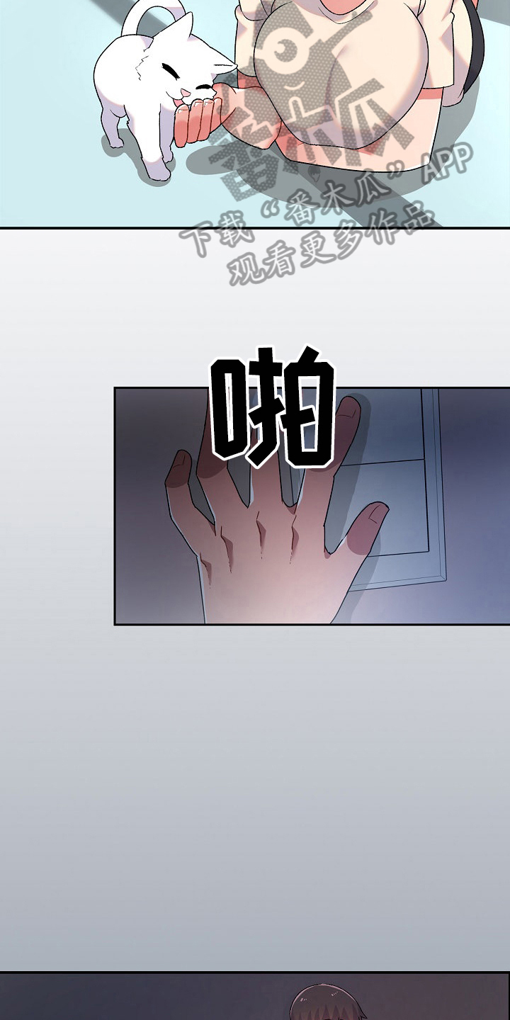 第6章：收留11